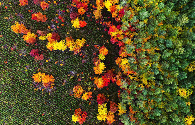 ngam thu sang dong toi tuyet dep