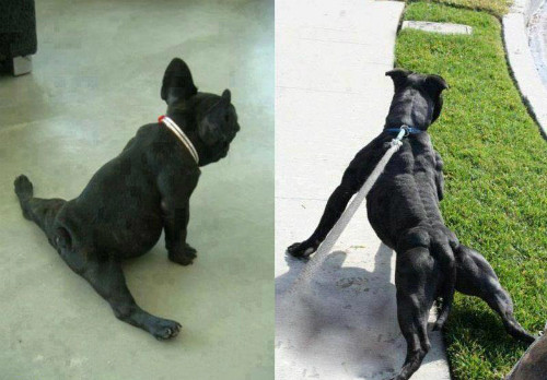 10 anh hai hot nhat facebook trong ngay