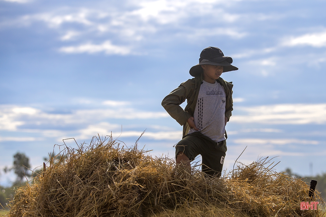 Muôn vẻ trẻ em nông thôn Hà Tĩnh giúp bố mẹ thêm thu nhập