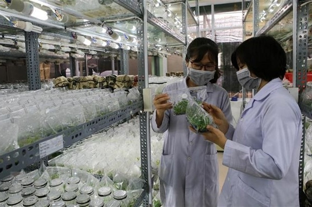 Nghị quyết của Bộ Chính trị về phát triển và ứng dụng công nghệ sinh học trong tình hình mới