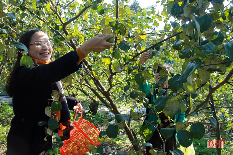 Người thương binh điển hình trong xây dựng vườn mẫu ở Nghi Xuân