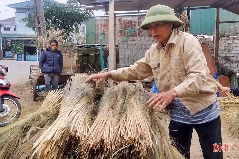 Nguyên liệu khan hiếm, giá tăng, người dân làng nghề chổi đót ở Hà Tĩnh vất vả gom hàng