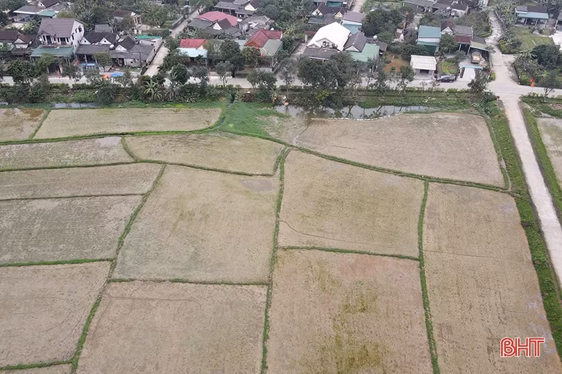 Hà Tĩnh phấn đấu khởi công các khu tái định cư cao tốc Bắc - Nam vào cuối tháng 2