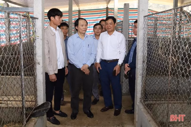 Hương Sơn đề xuất sớm giải quyết chính sách hỗ trợ xây dựng NTM