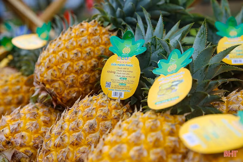 Trải nghiệm “Chợ gánh - Mùa thương đầu” tại Hà Tĩnh