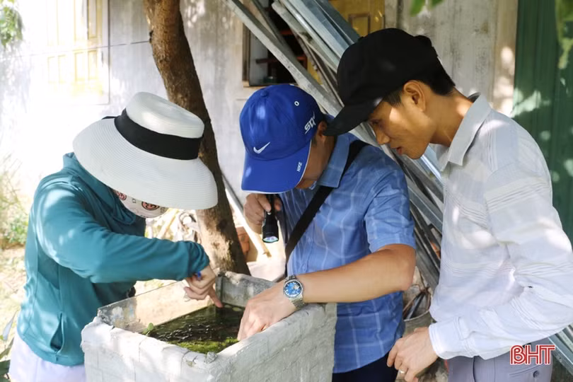 Y tế dự phòng Hà Tĩnh tiếp tục phòng chống tốt các loại dịch bệnh sau đại dịch COVID-19