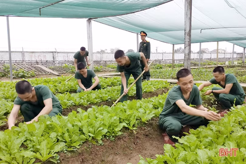Những ngày đầu quân ngũ: Chăn vuông góc, tóc cắt cao, gặp nhau phải chào, xưng hô bằng đồng chí