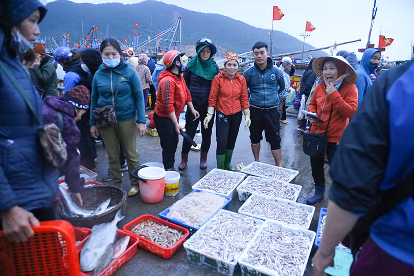 Ngư dân Hà Tĩnh trúng đậm cá cơm, cá đù, thu tiền triệu mỗi chuyến ra khơi