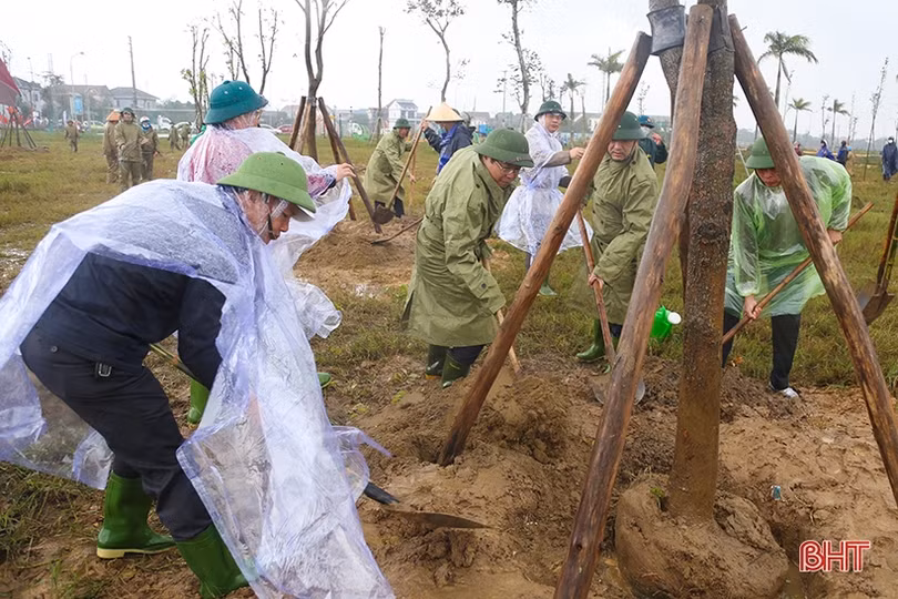 Phủ xanh không gian đô thị trung tâm Hà Tĩnh