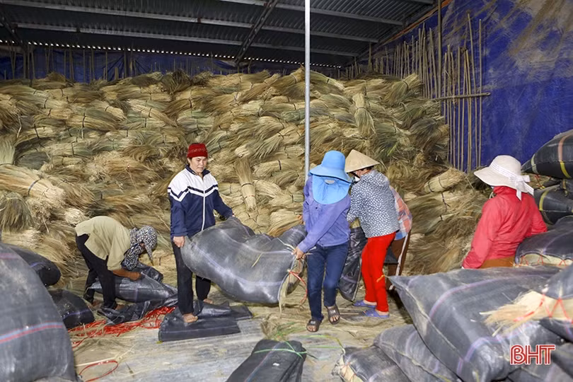 Nguyên liệu khan hiếm, giá tăng, người dân làng nghề chổi đót ở Hà Tĩnh vất vả gom hàng