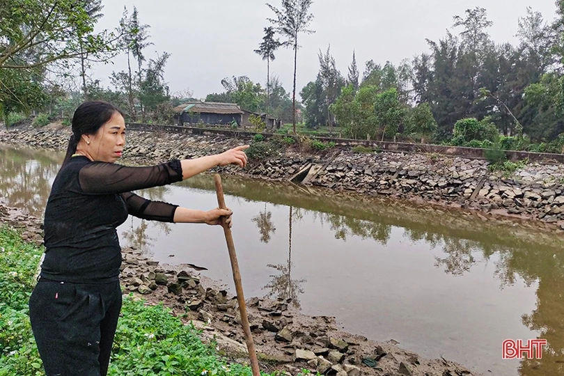 Kênh C2 sạt lở nghiêm trọng, người dân Lộc Hà bất an!