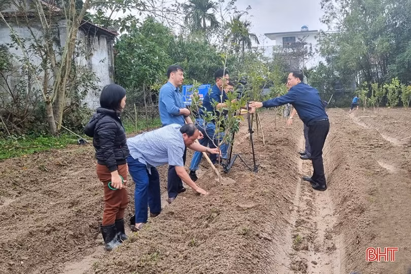 Phủ xanh không gian đô thị trung tâm Hà Tĩnh