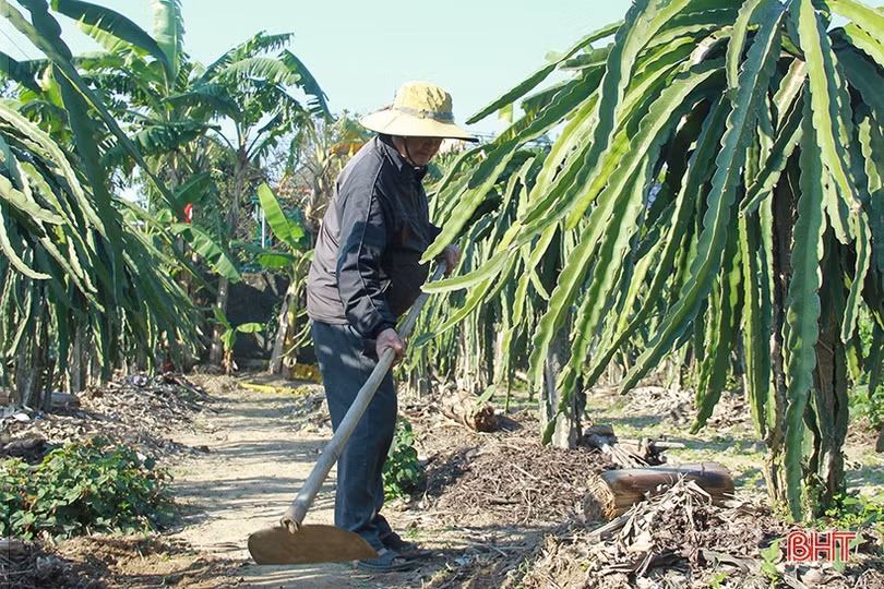 Người thương binh điển hình trong xây dựng vườn mẫu ở Nghi Xuân