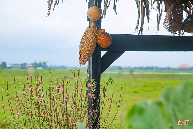 Trải nghiệm “Chợ gánh - Mùa thương đầu” tại Hà Tĩnh