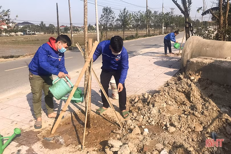 Phủ xanh không gian đô thị trung tâm Hà Tĩnh