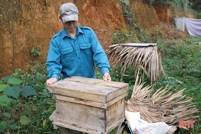 Bỏ phố về quê, vợ chồng kỹ sư trẻ biến đất hoang thành trang trại tiền tỷ