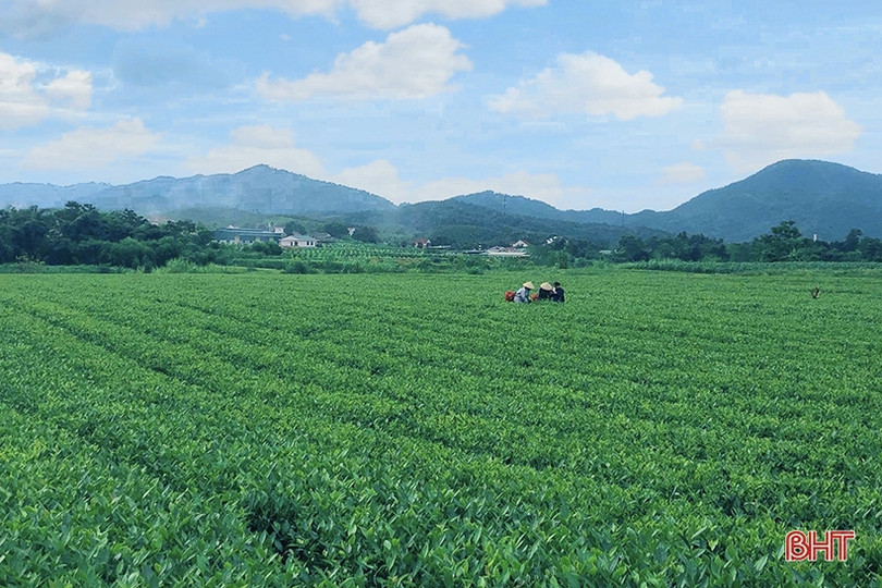 Những điểm đến hấp dẫn du khách ở huyện miền núi Hà Tĩnh