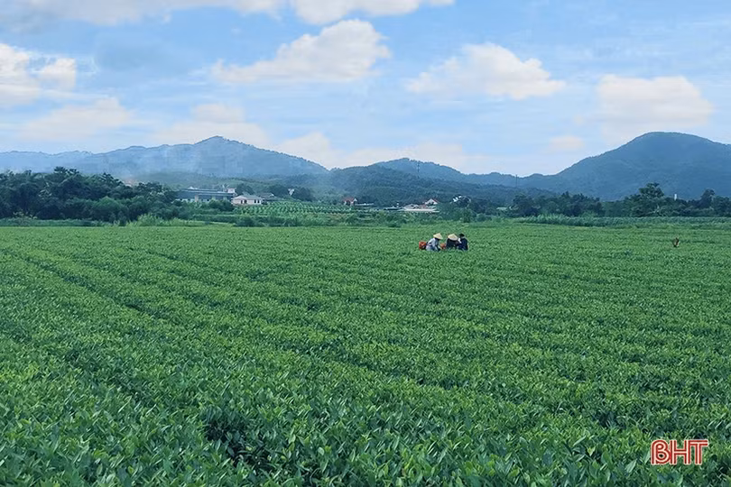 Những điểm đến hấp dẫn du khách ở huyện miền núi Hà Tĩnh 