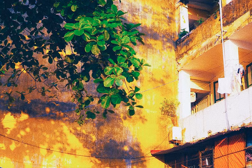 Ô cửa sổ màu nắng