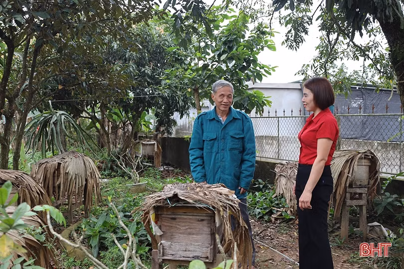 Nông dân Can Lộc nâng cao thu nhập từ nghề nuôi ong lấy mật