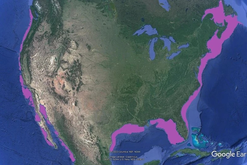 Mỹ công bố tọa độ địa lý ranh giới thềm lục địa mở rộng