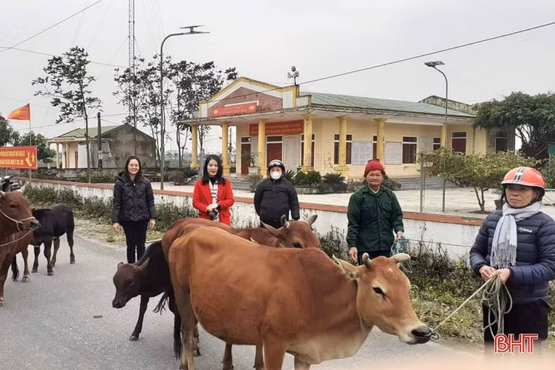 Hỗ trợ nhiều mô hình sinh kế cho người nghèo Lộc Hà