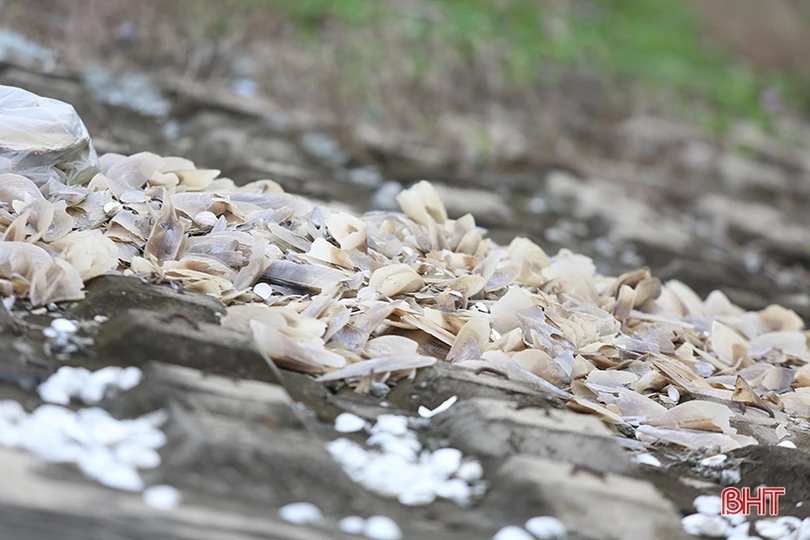 Rác “tập kết” trên đê biển Nghi Xuân