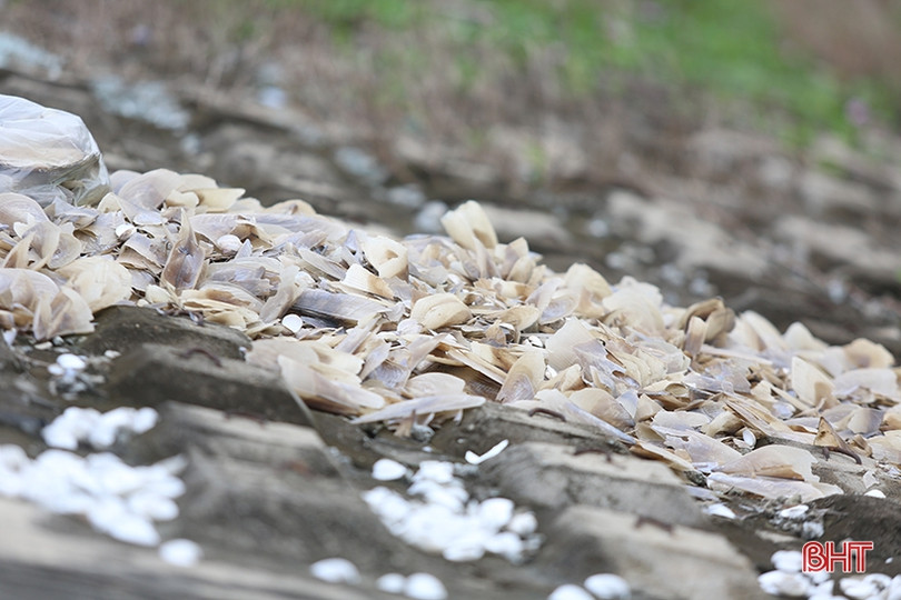 Rác “tập kết” trên đê biển Nghi Xuân