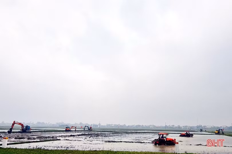 Huyện Kỳ Anh có thêm cánh đồng lớn 60ha