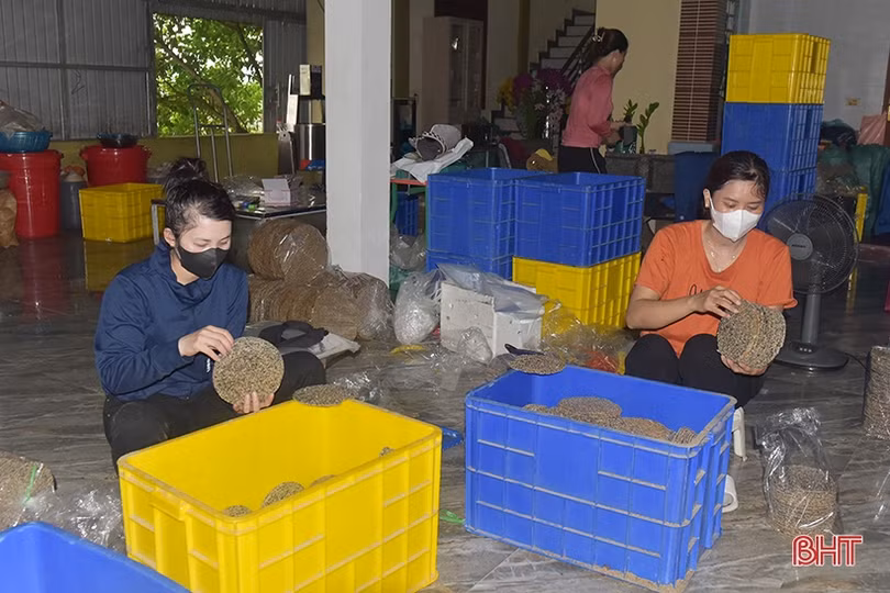 Sản phẩm OCOP - trụ cột trong phát triển kinh tế nông thôn Hà Tĩnh