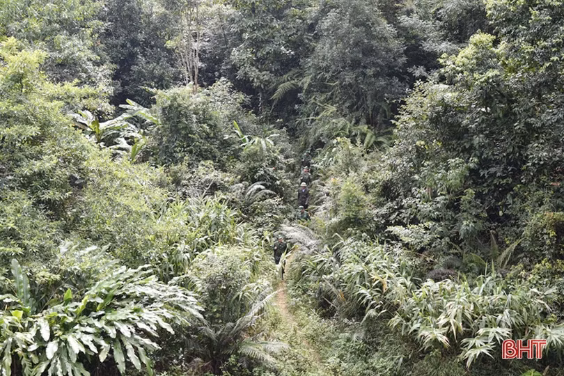 Kiên quyết đấu tranh với tội phạm ở biên giới