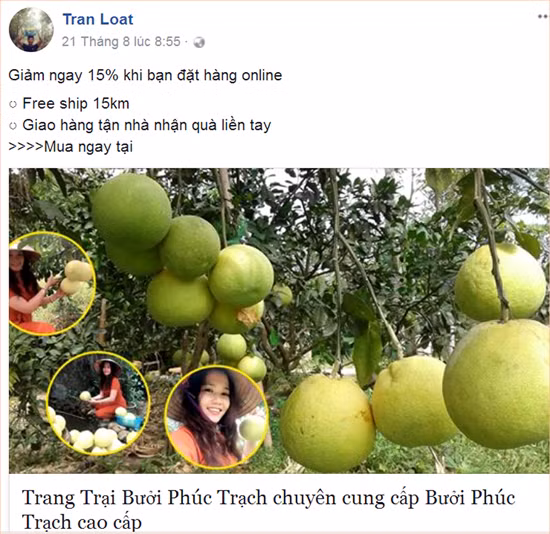nong dan ha tinh len phay tiep thi buoi