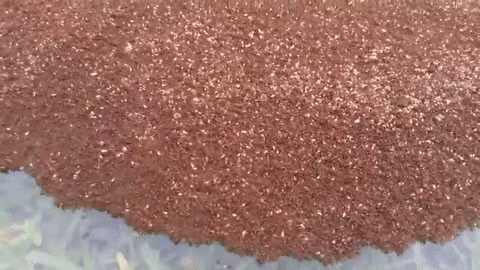 day la ly do vi sao ban phai thot len thien nhien that su ky dieu