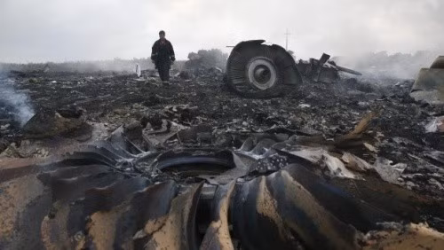 Interpol hỗ trợ nhận diện nạn nhân thảm kịch MH17 ảnh 1