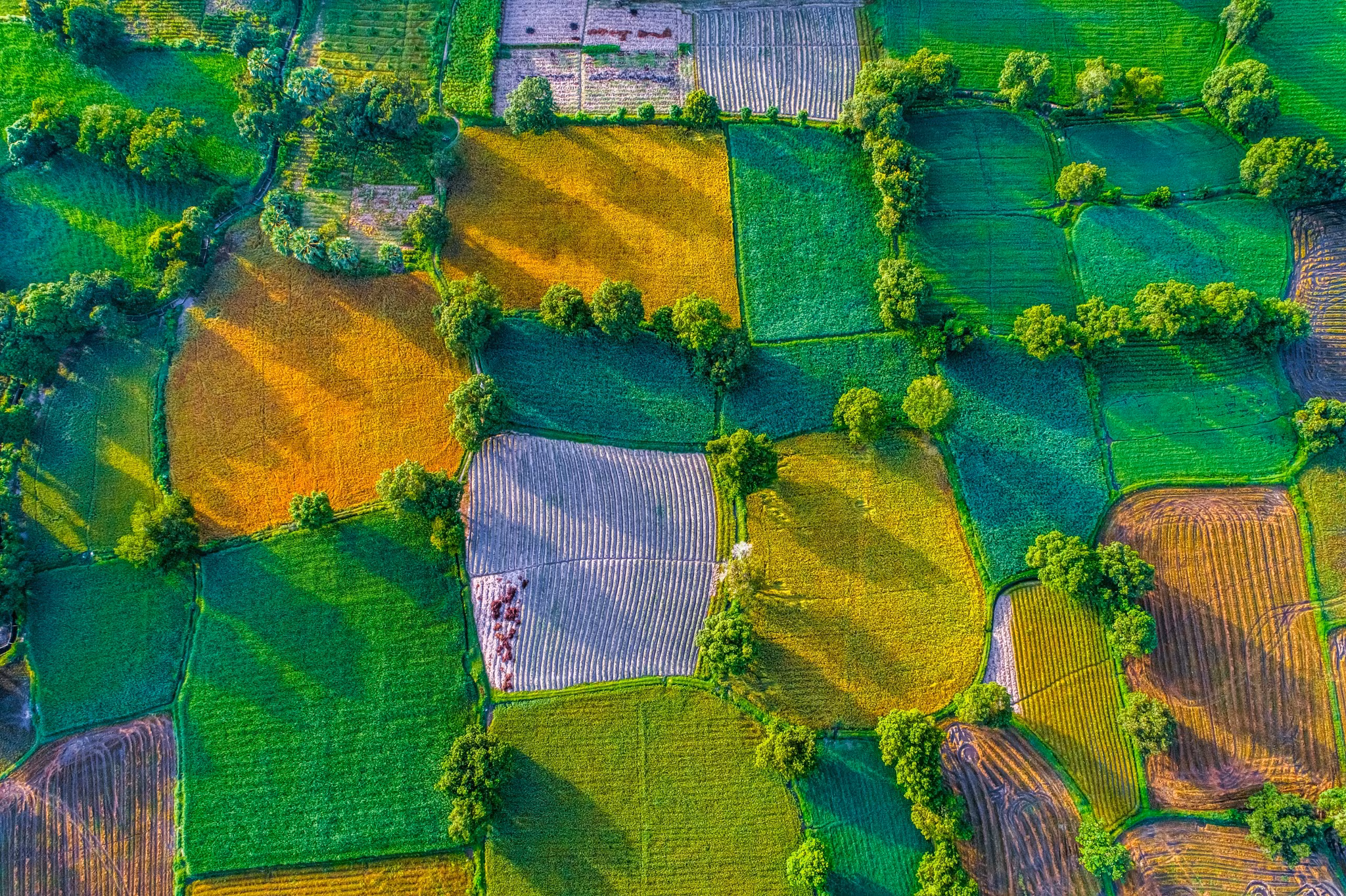 Vẻ đẹp Việt Nam qua ảnh 24 tỉnh, thành