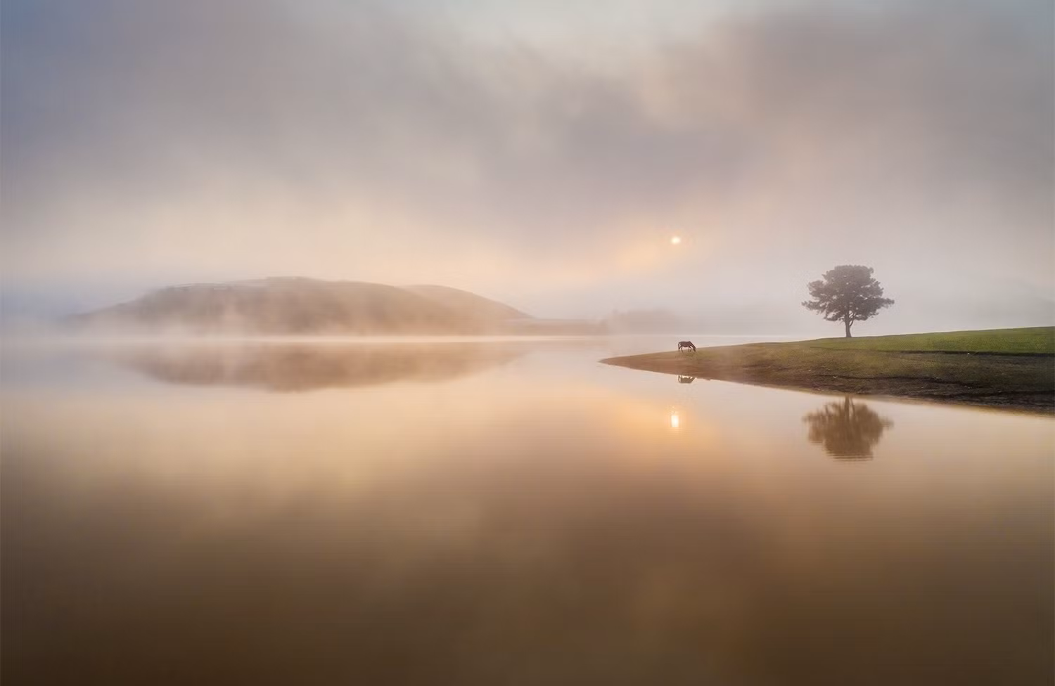 Vẻ đẹp Việt Nam qua ảnh 24 tỉnh, thành