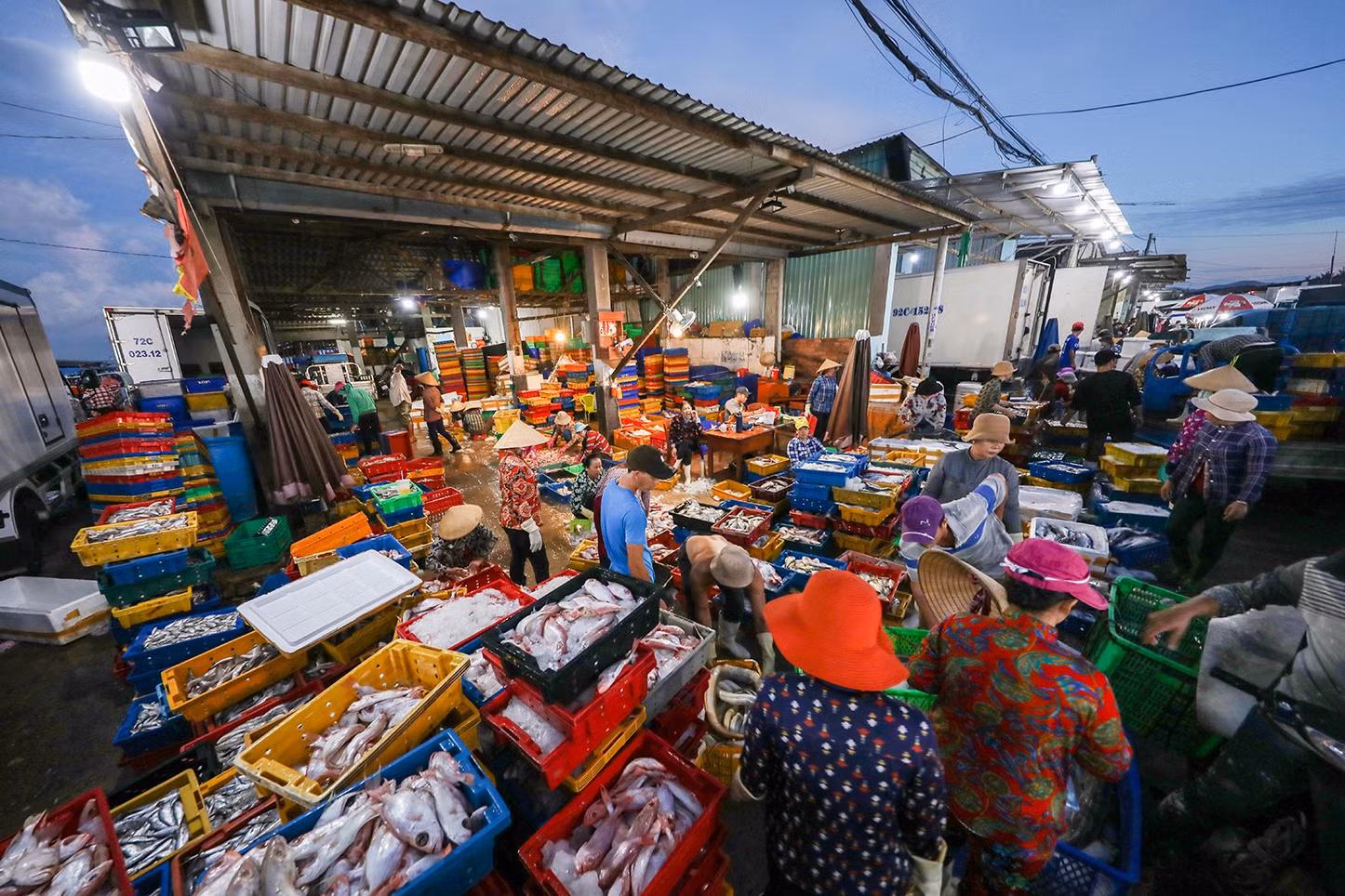 Vẻ đẹp Việt Nam qua ảnh 24 tỉnh, thành