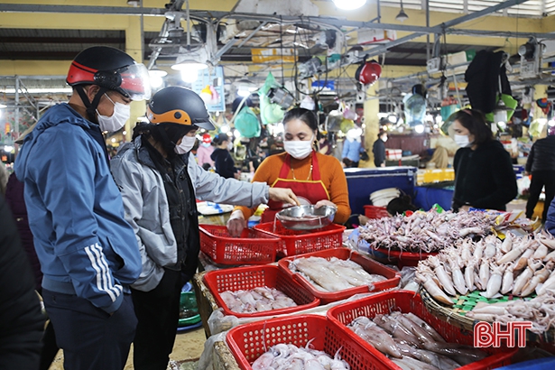 Nông dân vựa rau TX Kỳ Anh kỳ vọng vụ tết được mùa, được giá