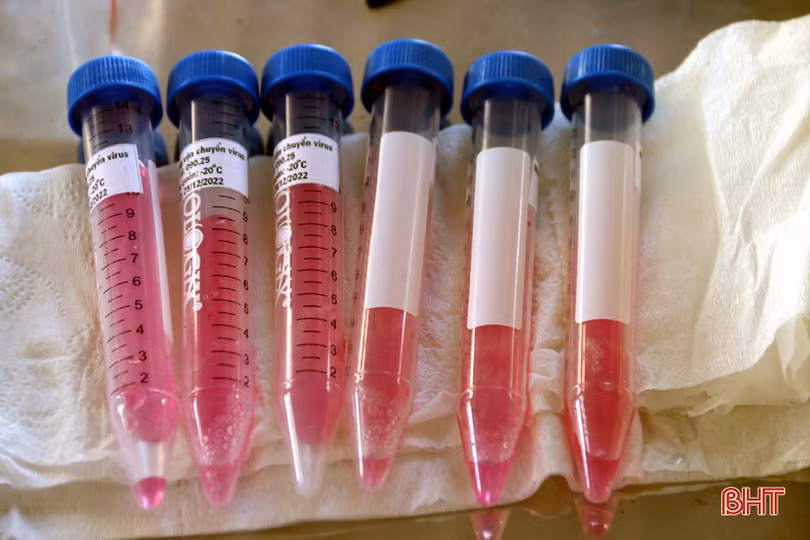 Người dân Hà Tĩnh đồng loạt đi xét nghiệm Covid-19 mở rộng từ nguồn xã hội hóa của doanh nghiệp