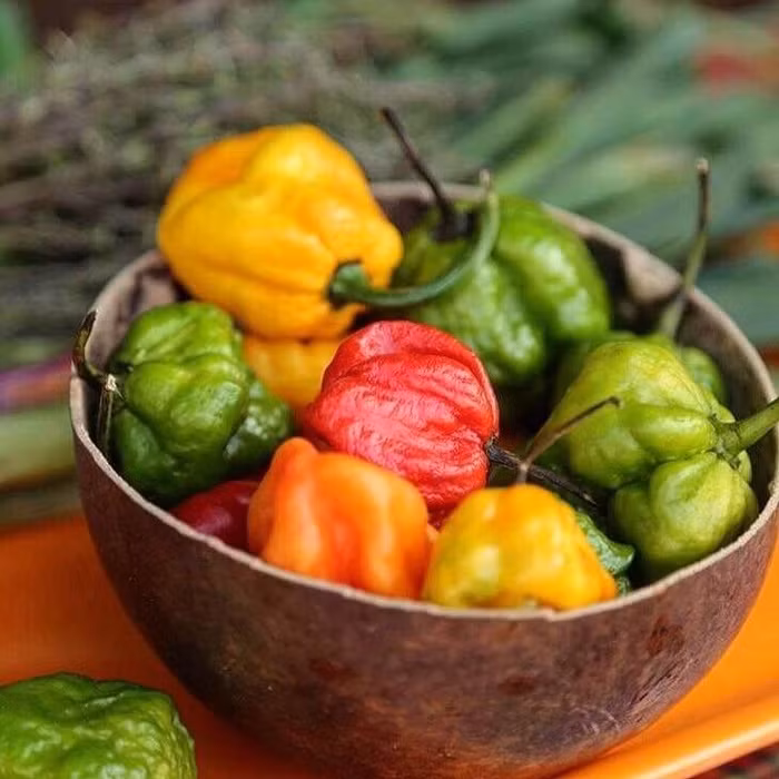 Đây là 8 loại ớt cay nhất thế giới, bạn có dám thử?