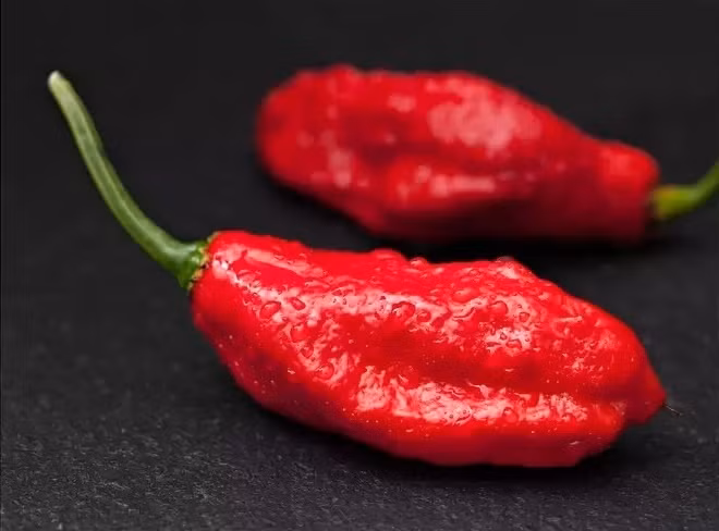 Đây là 8 loại ớt cay nhất thế giới, bạn có dám thử?