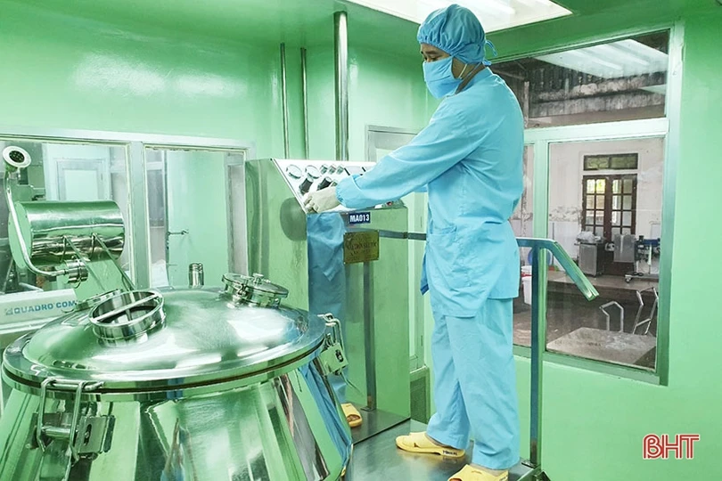 Nông dân Cẩm Xuyên “cướp nắng” thu hoạch cây dược liệu