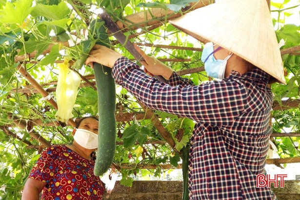 Phụ nữ Vũ Quang quyên góp gần 1,5 tấn nông sản sạch hỗ trợ khu cách ly