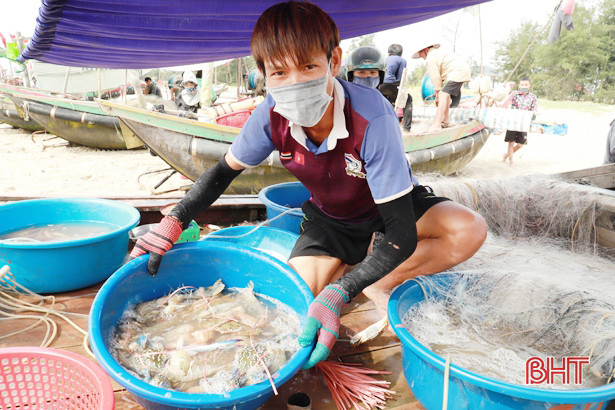 Ngư dân Xuân Yên đánh bắt được nhiều loại hải sản có giá trị