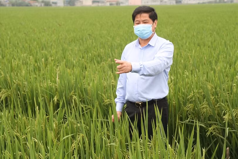 Trong “bão” COVID-19, nông nghiệp quyết đạt 44 tỉ USD kim ngạch xuất khẩu