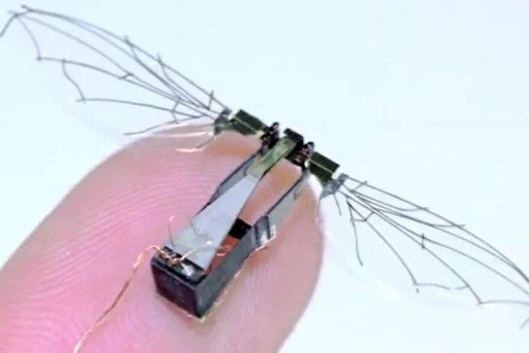 Không quân Mỹ phát triển phương tiện bay siêu nhỏ như côn trùng