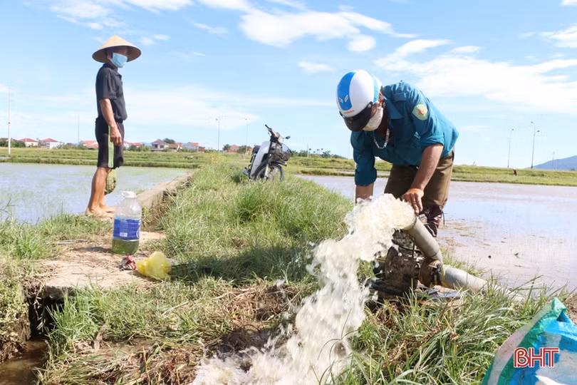 Nông dân Hà Tĩnh nhanh chóng tiêu thoát úng, “cứu” lúa hè thu