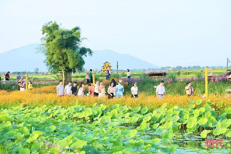 Mô hình du lịch sinh thái ở TP Hà Tĩnh thu hút lượng khách lớn nhất từ trước tới nay. bqbht_br_6.jpg