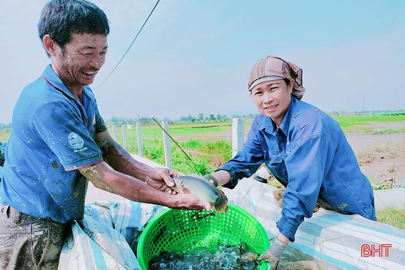 Mô hình sản xuất lúa hữu cơ kết hợp nuôi cá của gia đình anh Đặng Thế Luận, thôn Đông Trung cho thu nhập khá, an toàn với môi trường tự nhiên. dang-the-luan-thon-dong-trung-sx-lua-huu-co-ket-hop-nuoi-ca-ro.jpg