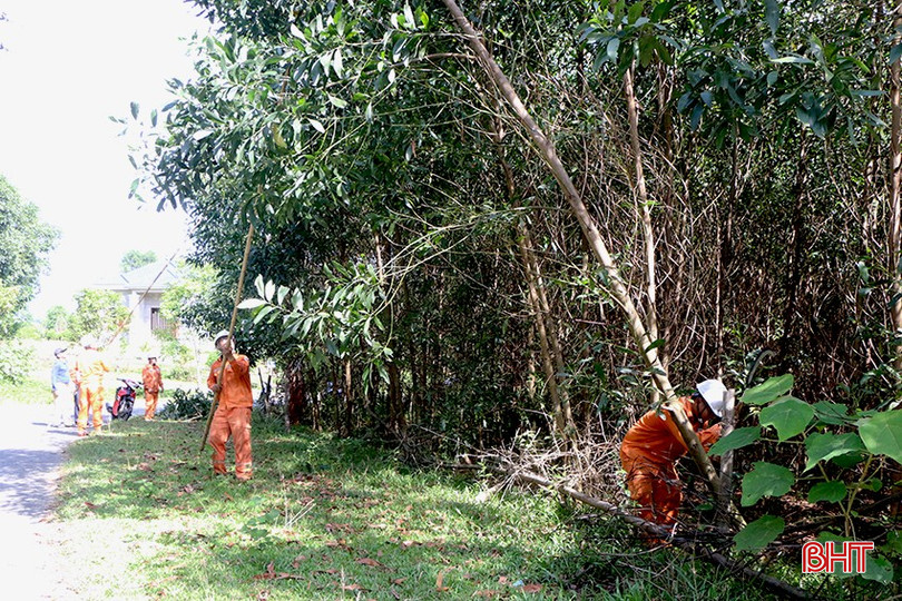 Công nhân điện lực phát quang, giải toả diện tích keo trong hành lang lưới điện tại đường dây 373.E18.3 trên địa bàn xã Kỳ Văn. bqbht_br_7.jpg